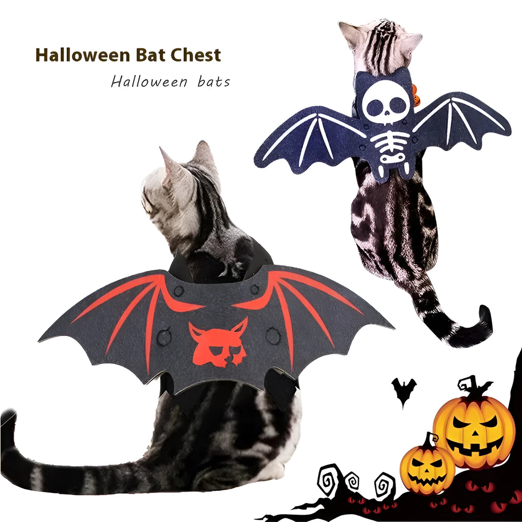 Felt black batwing Halloween costume being worn by a cat