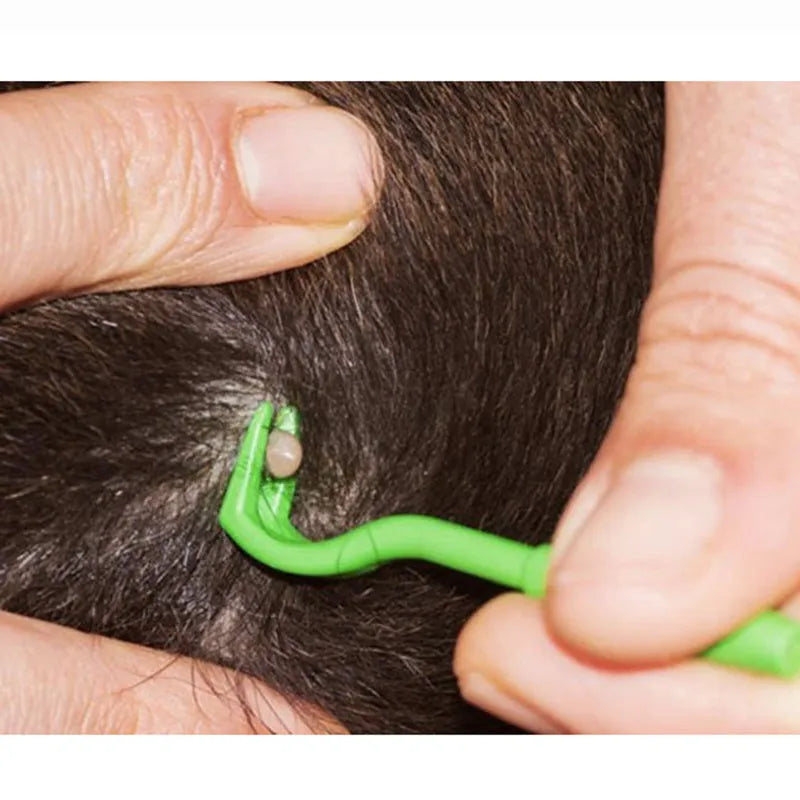 Set of three blue or green plastic tick removal hook tools for pets on a white background.