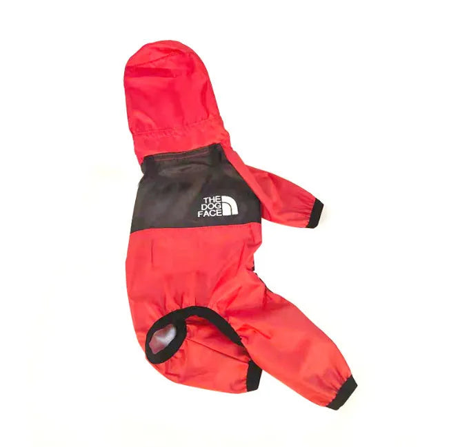 Green long-legged dog rain poncho with transparent brim on a dog