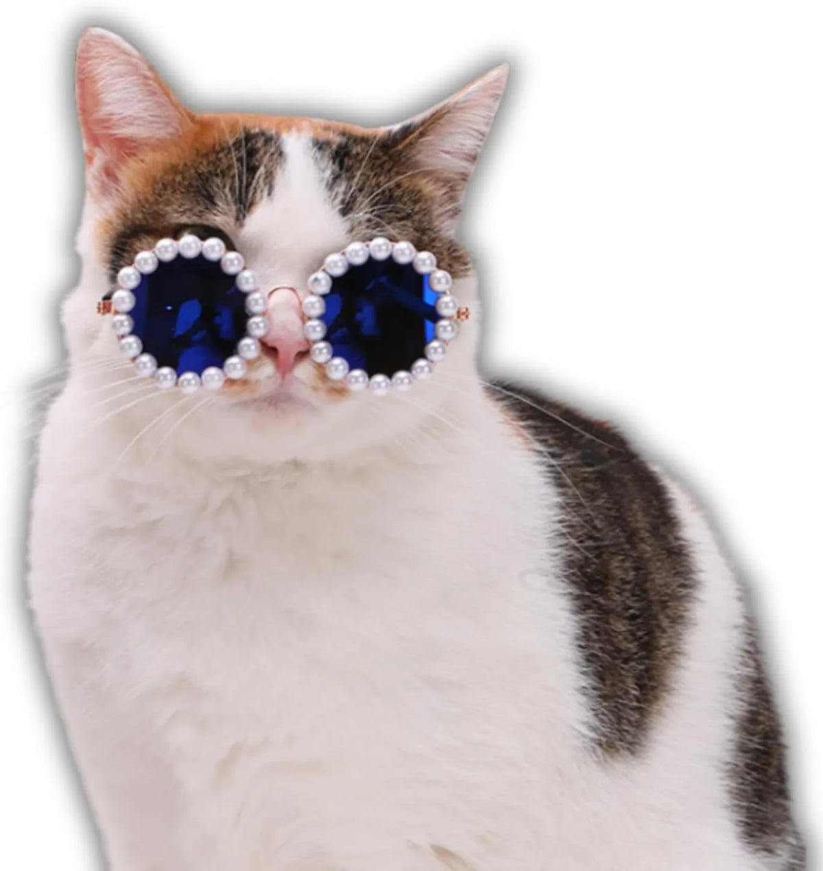 Round pearl-rimmed sunglasses for a dog or cat costume, shown in multiple colours.