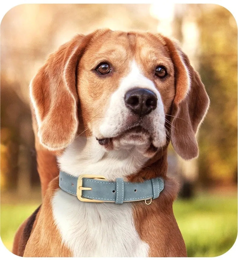Double-layer leather mohair dog collar and matching traction rope in rose red, shown with size tags S, M, L, XL.