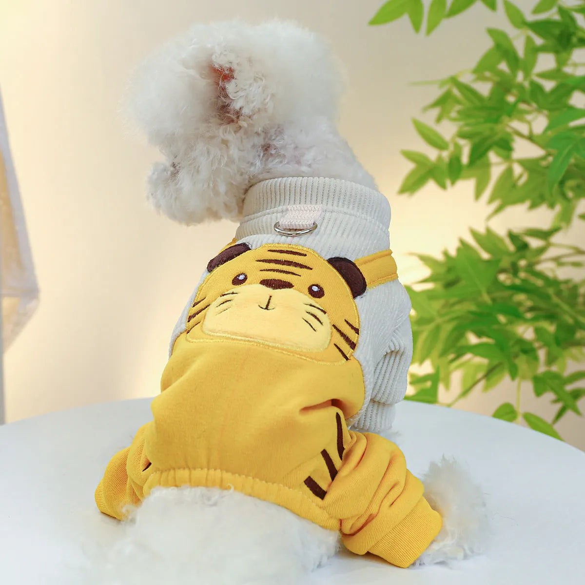 Little Tiger overalls dog suspender pants in polyester with corduroy-look finish, sizes XS to XL