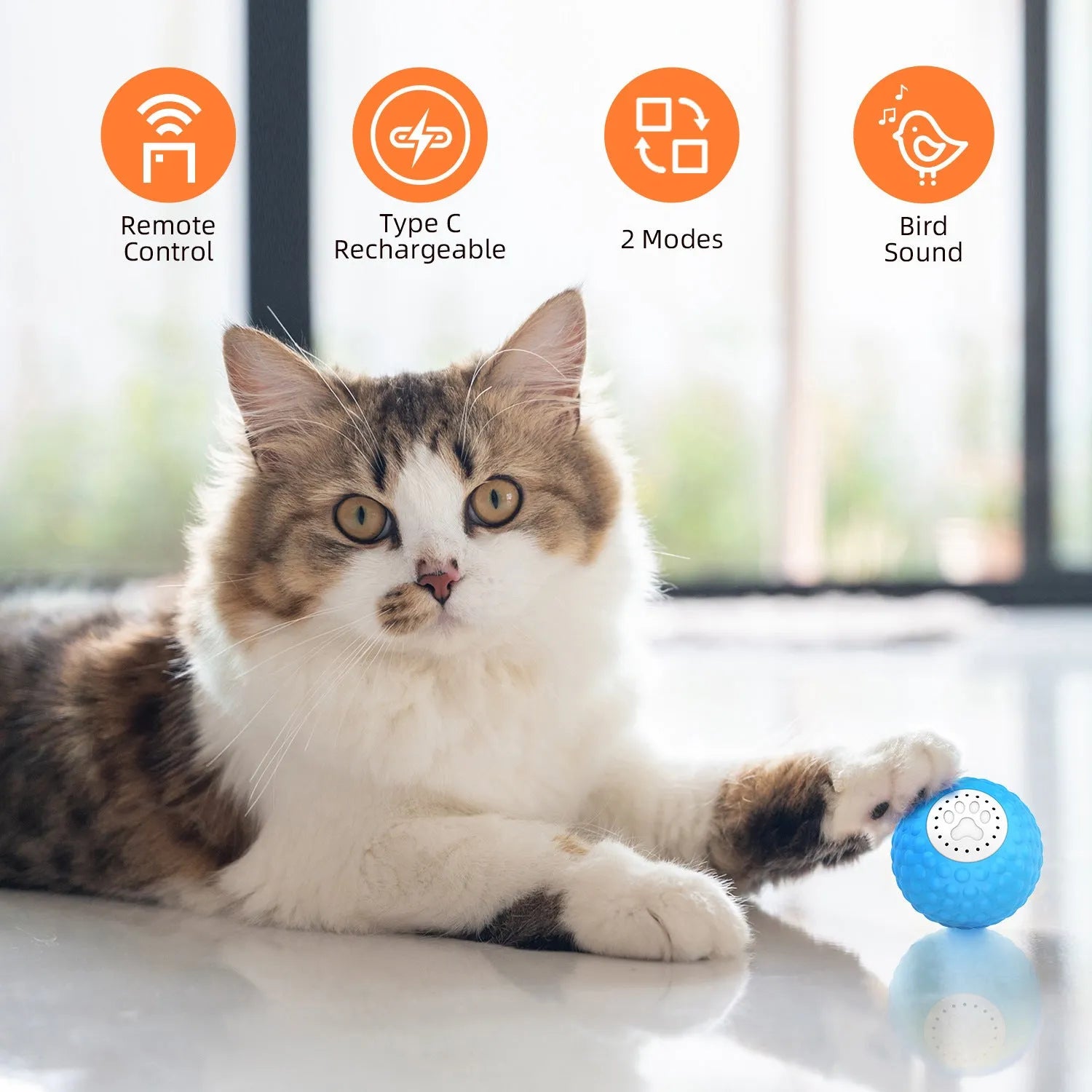 Upgrade remote control cat toy with rolling ball in blue, green, and yellow colour options