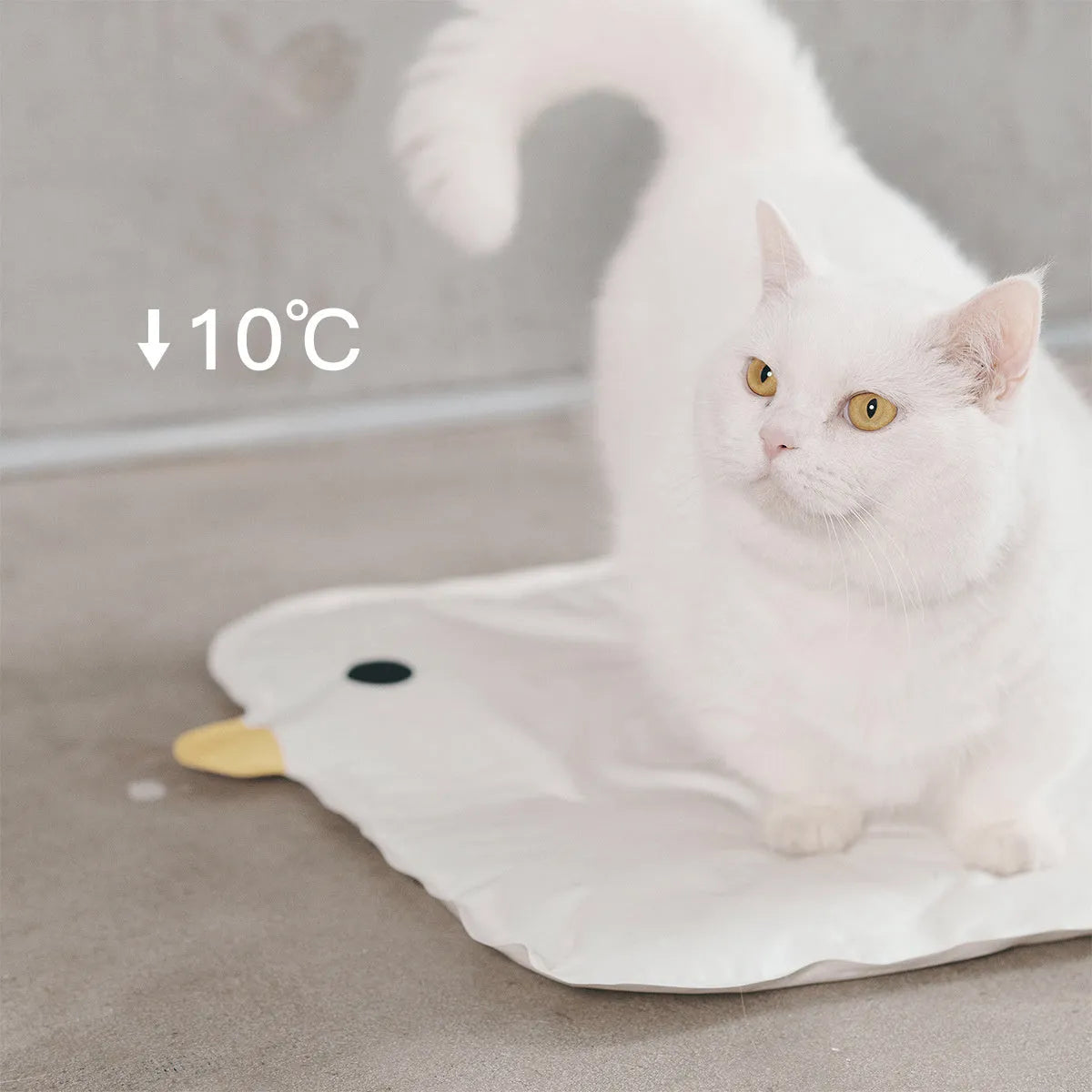 Square chick-shaped blue pet cooling mat on a wooden floor.