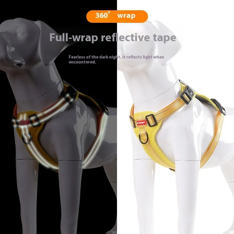 Polyester dog harness and lead set in multiple colours with adjustable chest strap