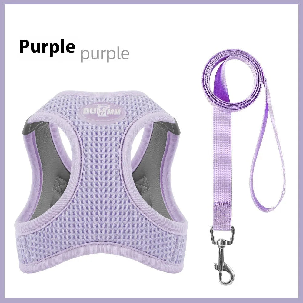 Brown cloth dog harness with an adjustable chest strap and a separate hand-held rope.