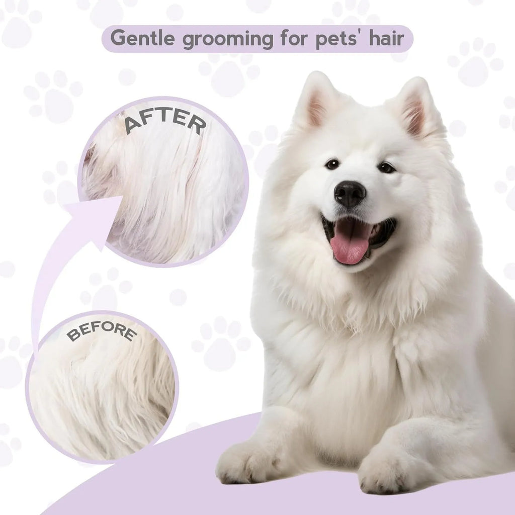 Purple pet detangling comb with stainless steel teeth for dogs and cats on white background