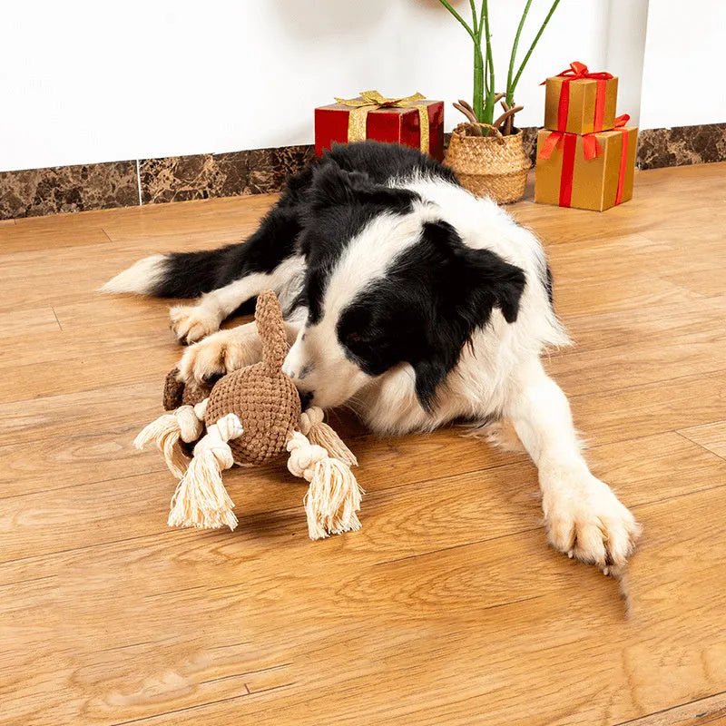 Brown shell-shaped plush dog toy with sound paper and BB squeaker for chewing and interactive play