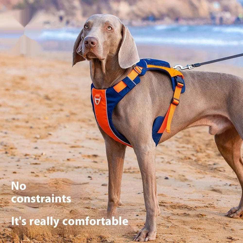 Orange blue dog chest strap vest harness with hand rope leash on adjustable nylon construction