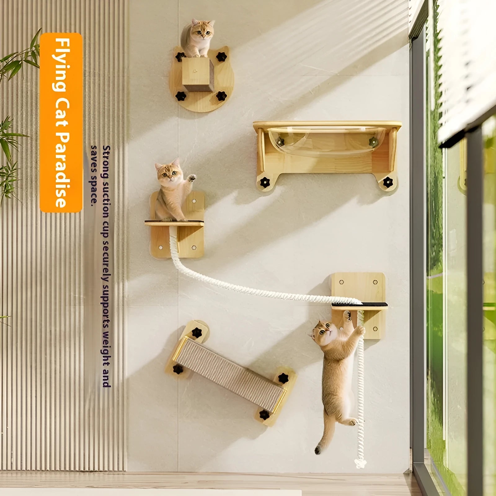 Suspended cat climbing frame with sisal scratching surfaces mounted on wall
