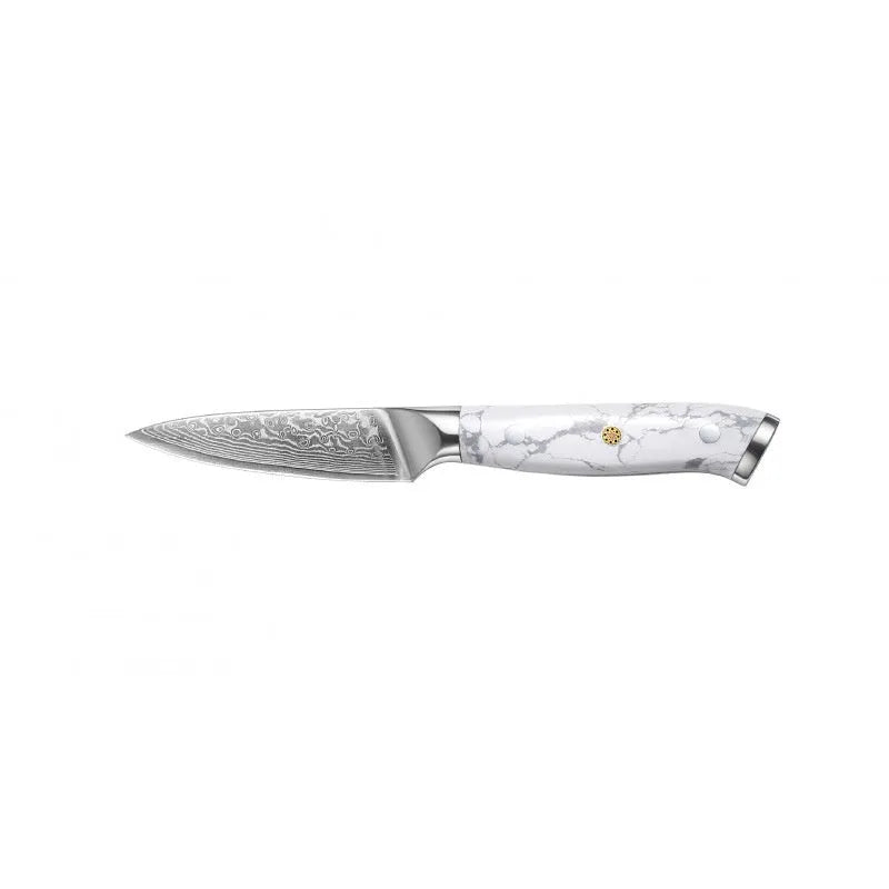 Damascus pattern chef knife with VG10 steel blade, 21cm cutting edge, modern handle design