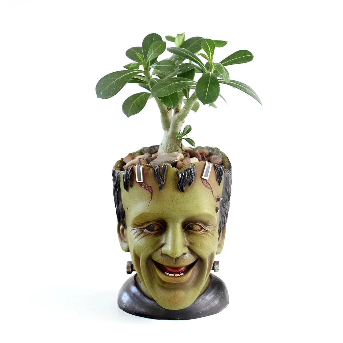 Green resin Frankenstein flower pot with drainage hole for desktop indoor succulent and fern display