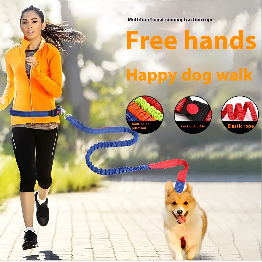 Grey and red reflective elastic dog leash for outdoor running held in a person's hand.
