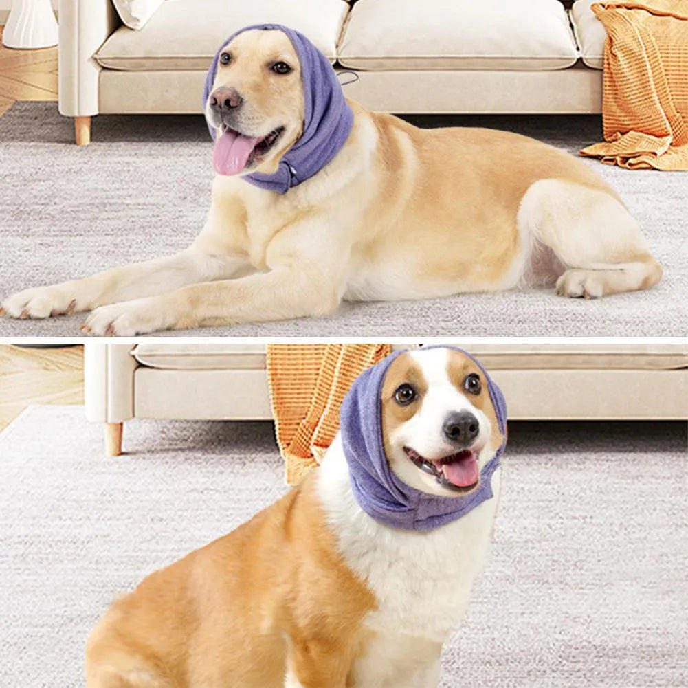 Dog wearing noise reduction hoodie with ear covers in black colour