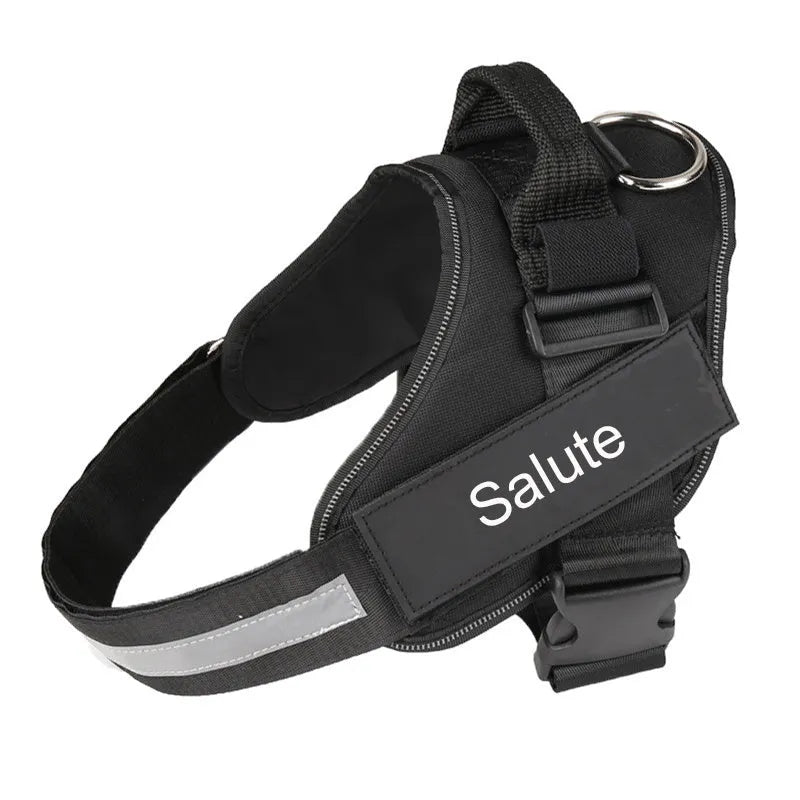 Customisable adjustable dog harness with reflective trim shown on a dog.