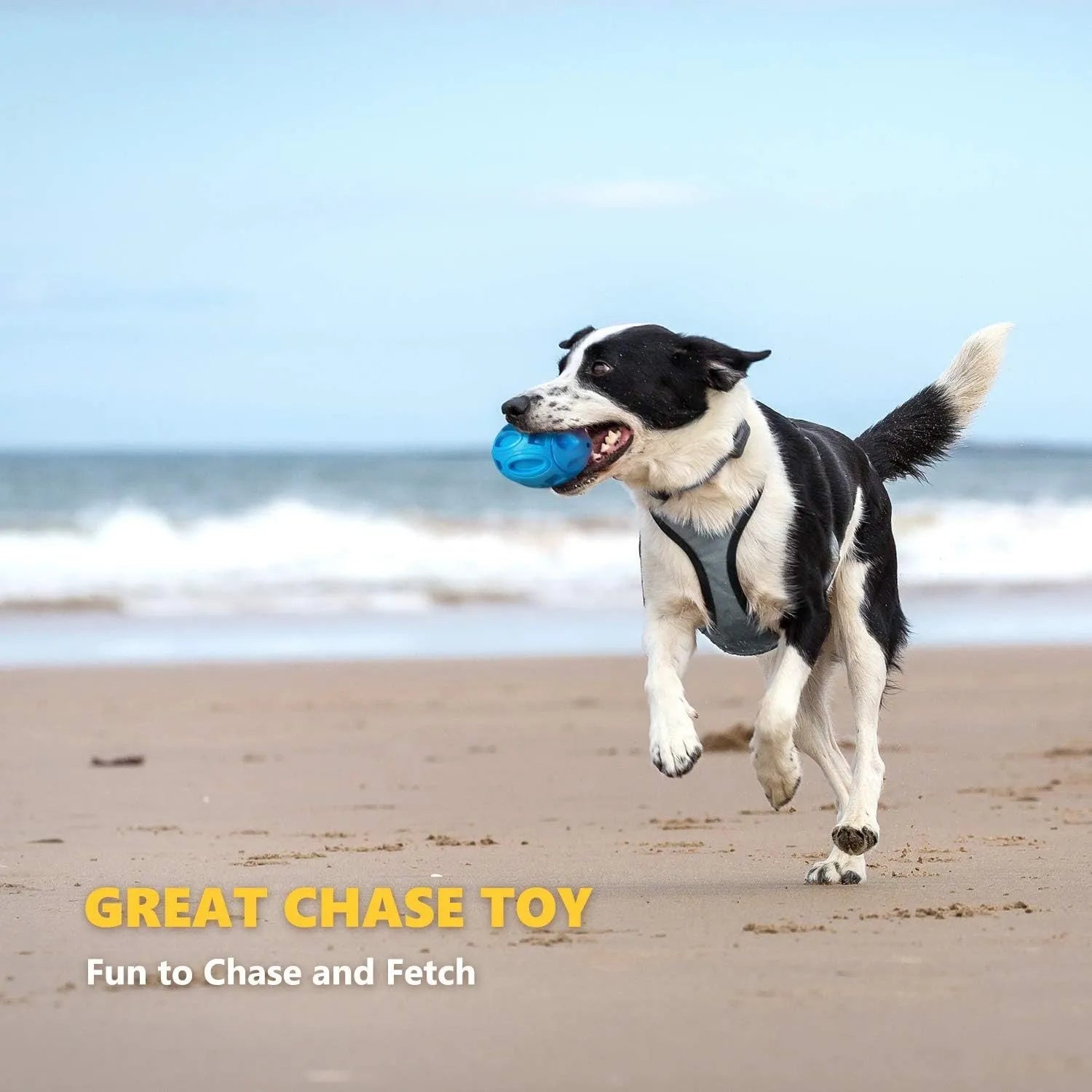 Blue durable natural rubber squeaky dog chew ball toy for aggressive chewers.