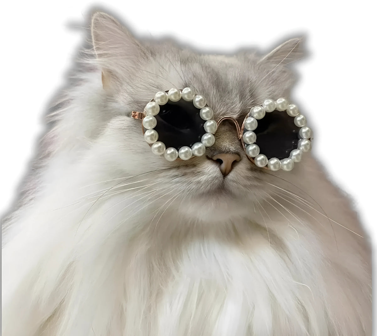 Round pearl-rimmed sunglasses for a dog or cat costume, shown in multiple colours.