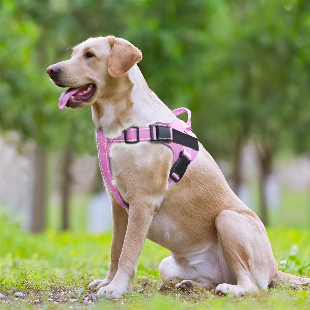 Dog vest chest strap leash harness in Oxford cloth with breathable mesh, aluminium alloy D-ring and reflective stripes, five colours and six sizes.