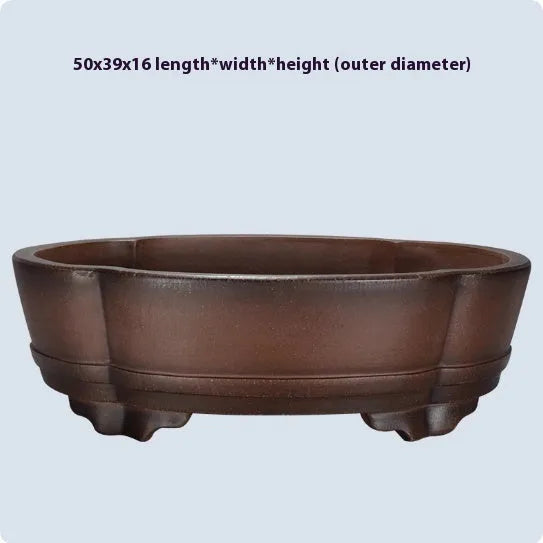 Classical purple clay bonsai pot with green plant old pile design measuring 50cm long