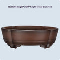 Classical purple clay bonsai pot with green plant old pile design measuring 50cm long