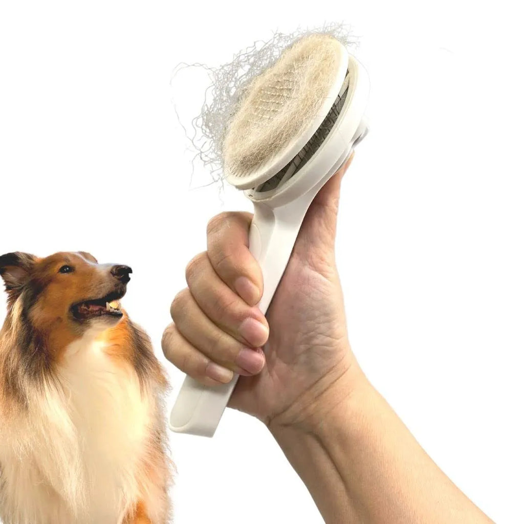 Blue self-cleaning slicker brush for dogs and cats on a wooden surface