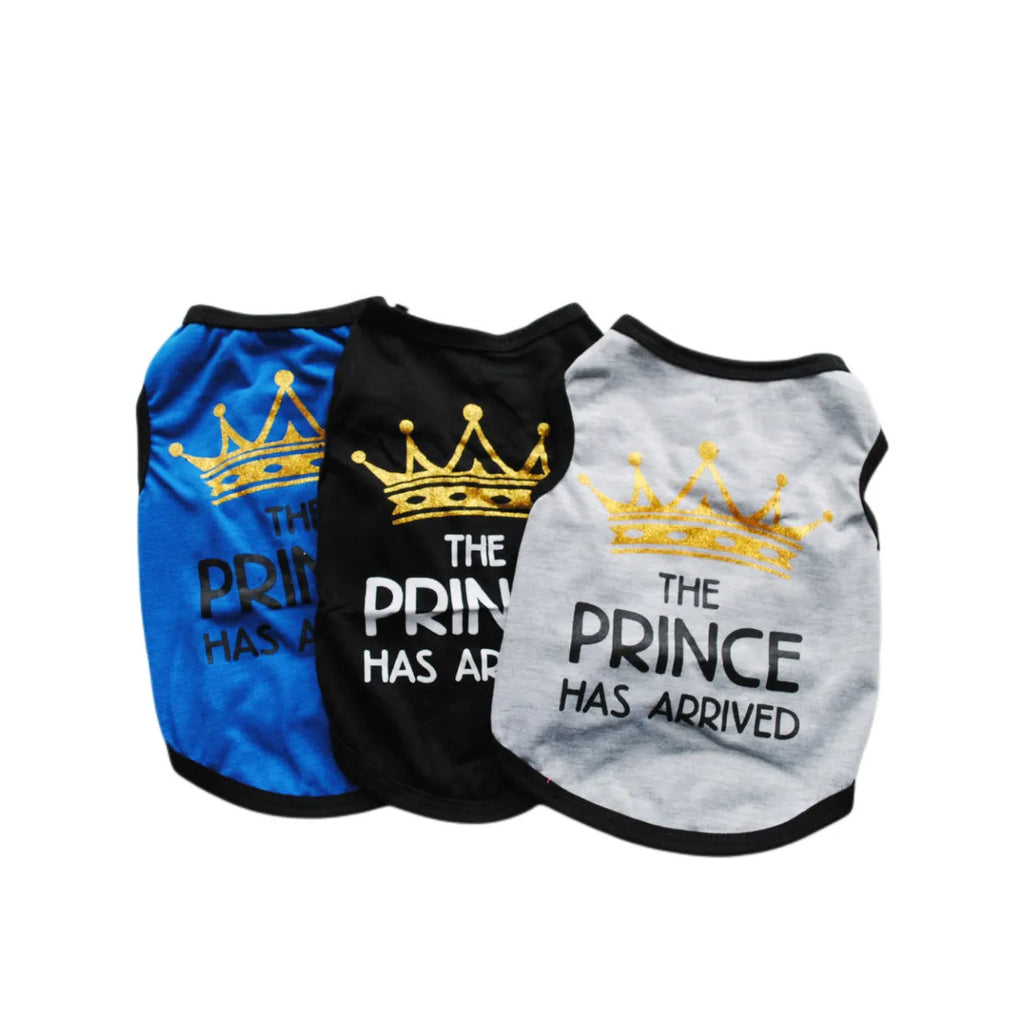 Cotton puppy vest for summer in multiple colour options on a small dog