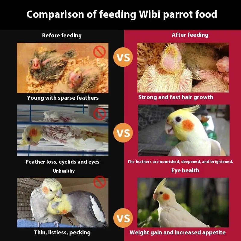 Birds Freddie Wong Mixed Grain With Shell Parrot Food 500g pack for small and medium parrots