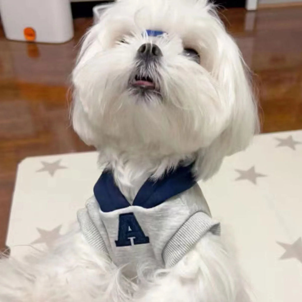 Blue and grey-white pet sweater with reflective letters for cats and dogs