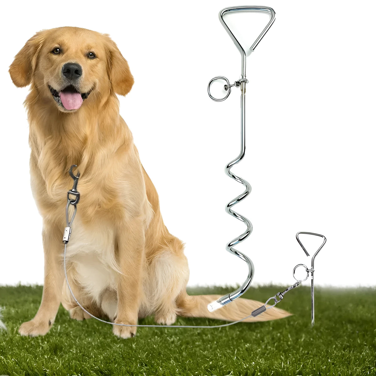 Silver spiral dog tie out stake made of solid steel for ground anchoring.