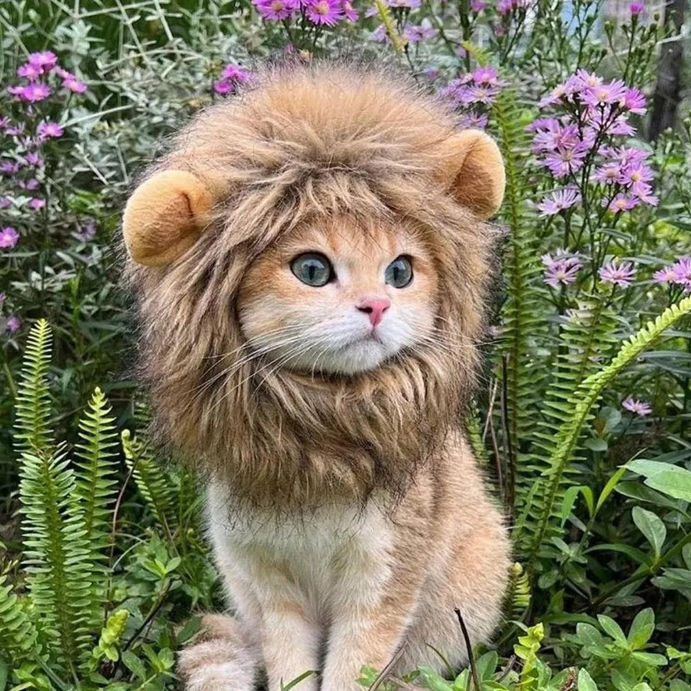 Soft lion mane wig with plush ears for cats and small dogs on a grey background.
