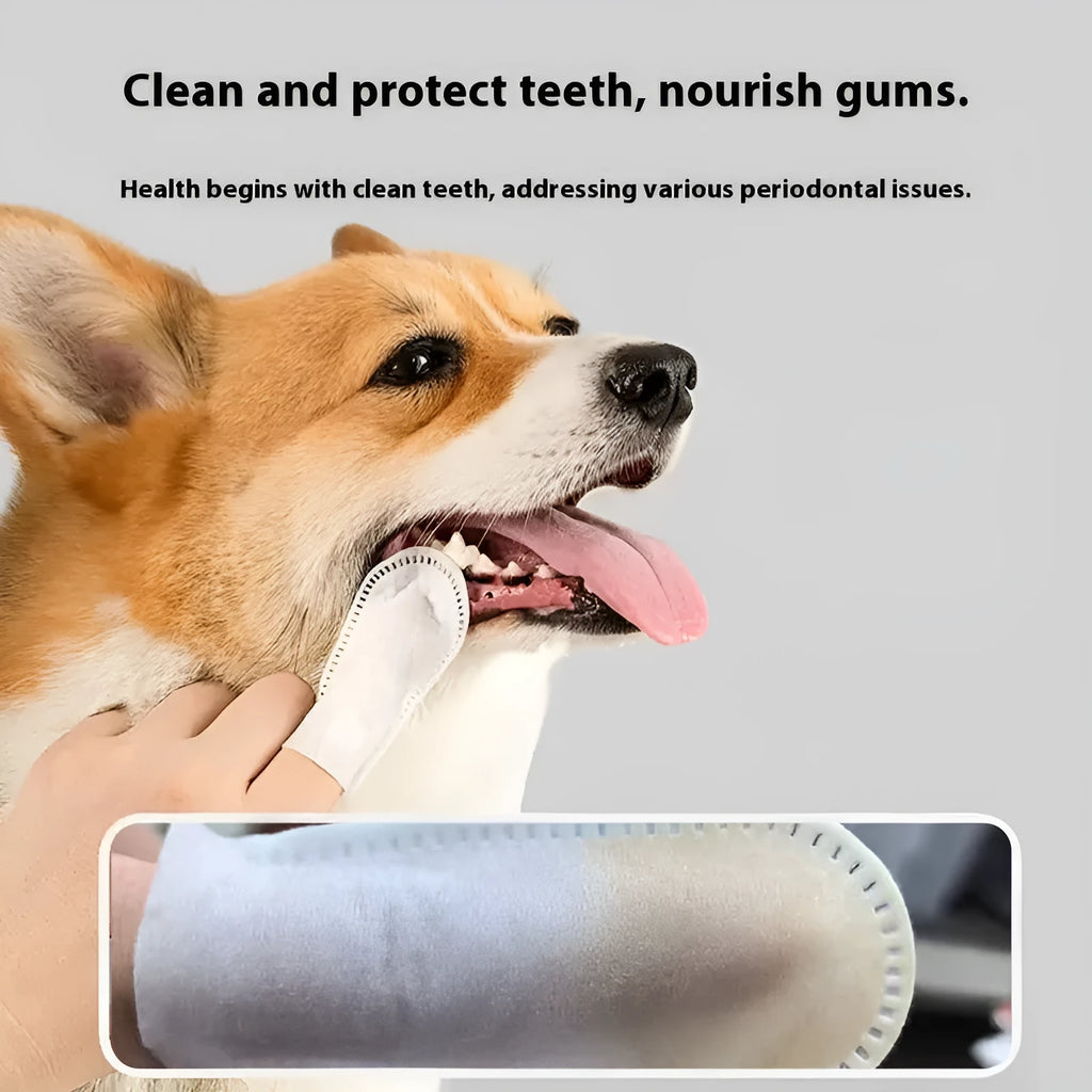 Pack of 50 disposable non-woven fabric pet dental cleaning finger stalls for dogs and cats