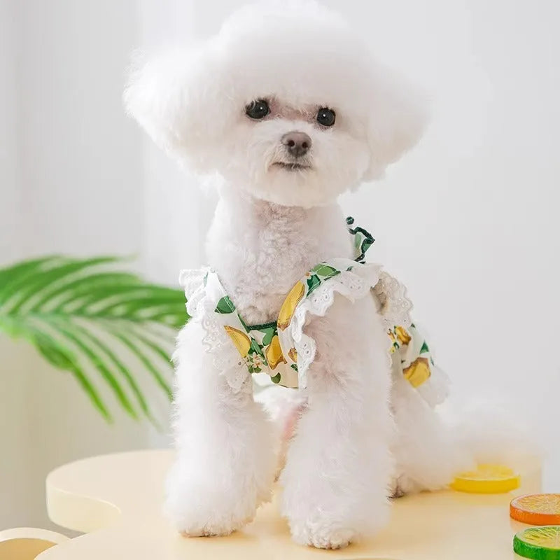 Rock yellow lemon polyester dog dress with thin breathable strap skirt in princess style