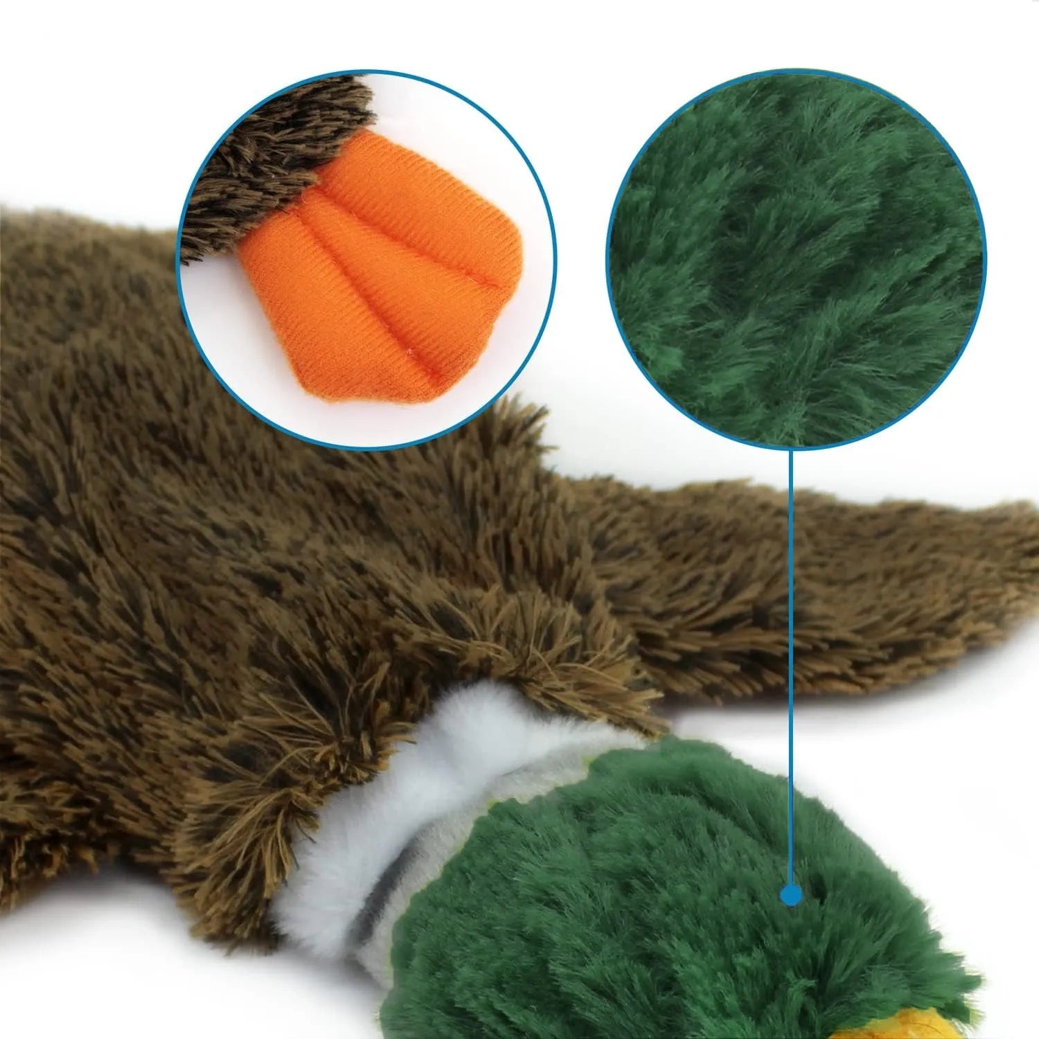 Green wild duck design stuffless plush dog toy with two squeakers.