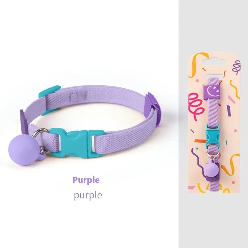 Small dog elastic polyester pet collar in multiple colours on a white background