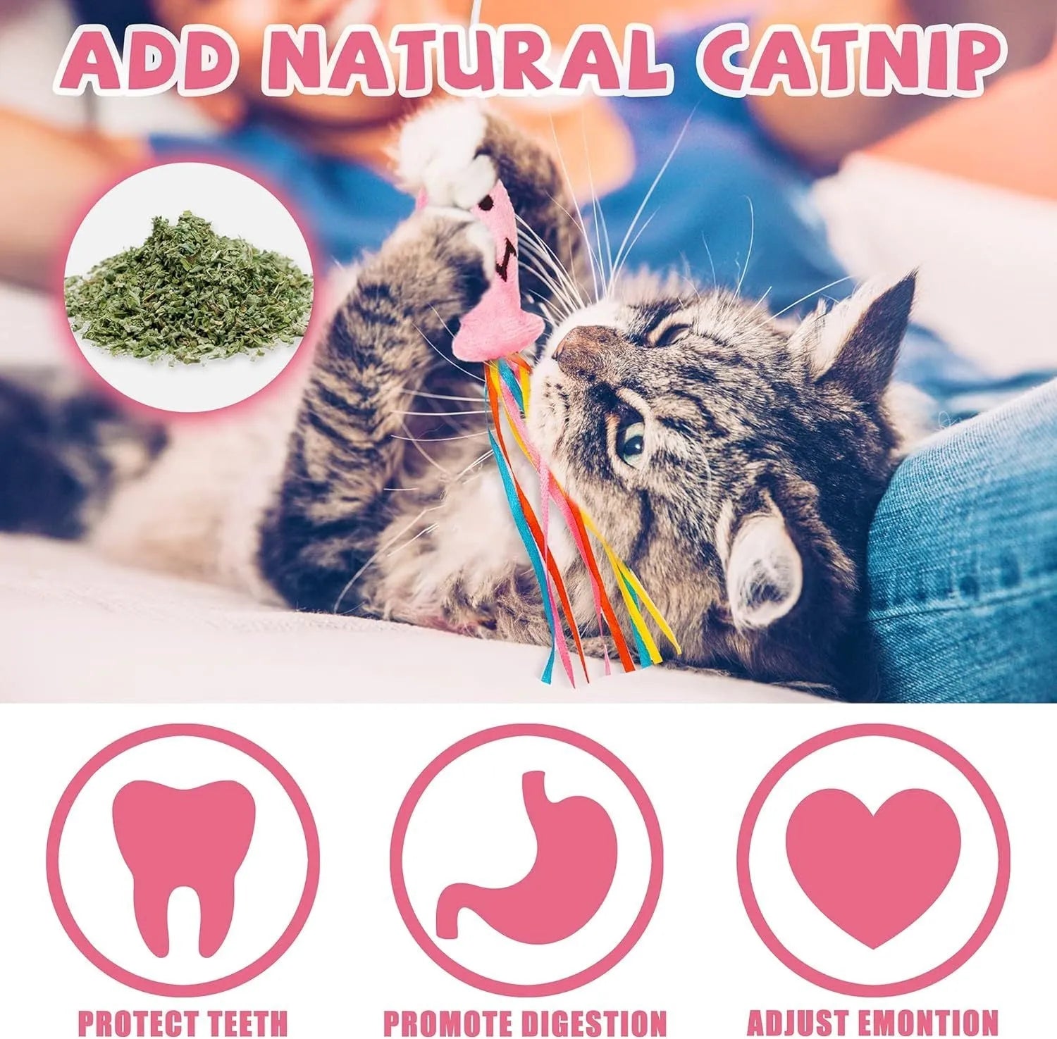 Colourful cat wand toy with ribbons, catnip fish, bell, and wooden handle.