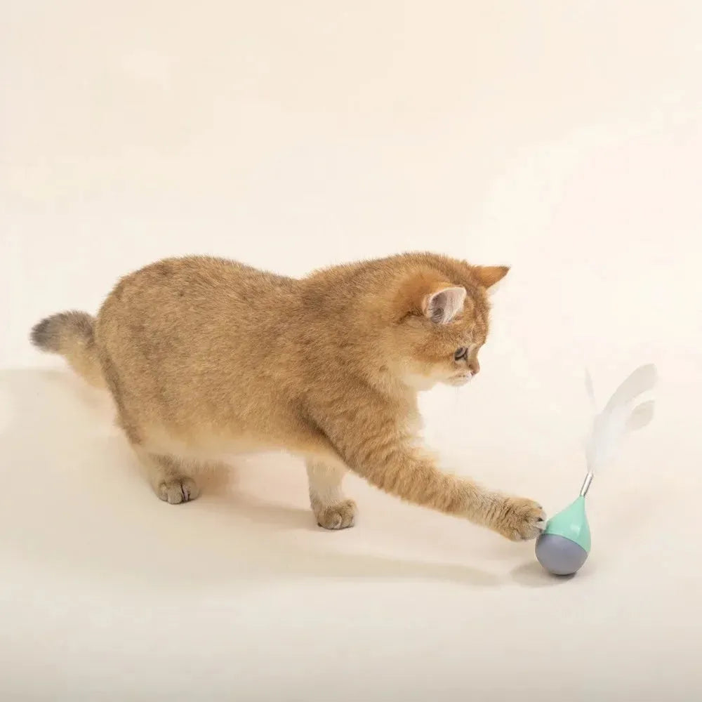 Feather tumbler cat toy with bite-resistant ball and goose feather teaser in green or pink