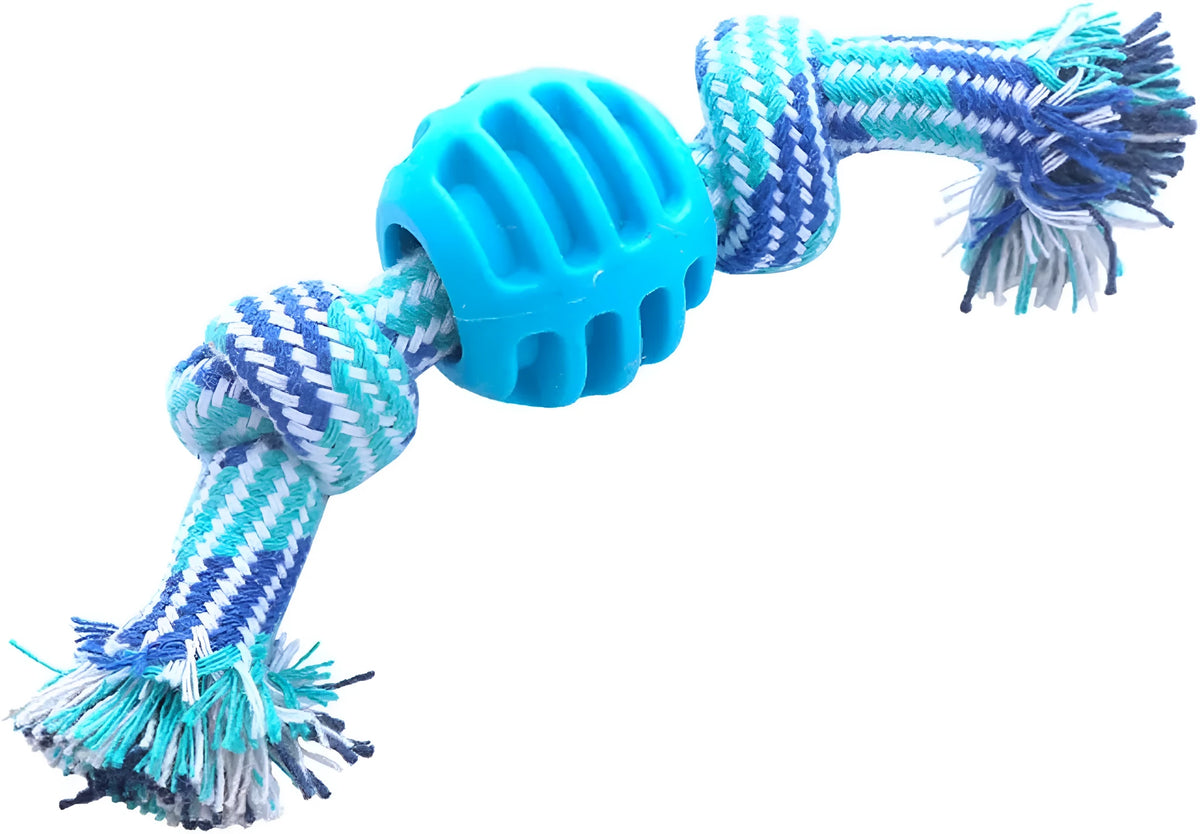 Blue dog chew toy with rope texture for cleaning teeth and oral health.