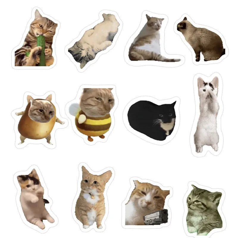 110 cute cat stickers in one pack, printed decorative design for scrapbooking, journals and laptops