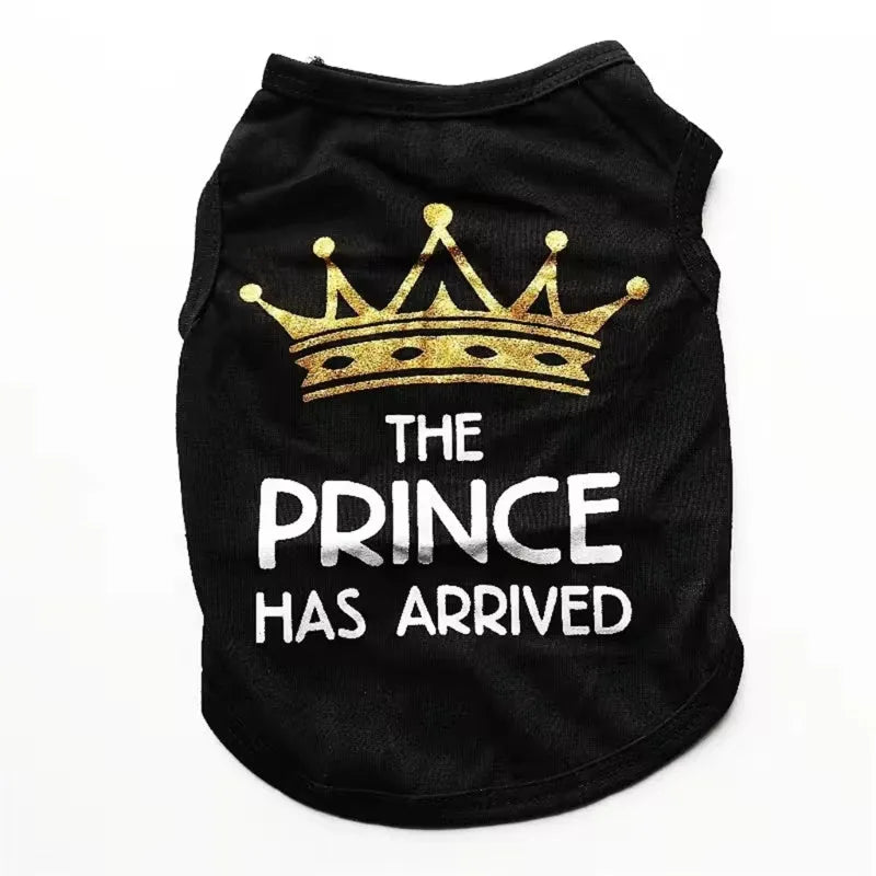 Cotton puppy vest for summer in multiple colour options on a small dog