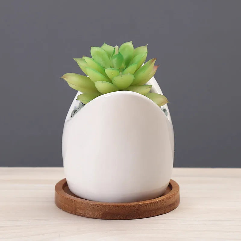 Cartoon ceramic succulent pot with drainage hole in blue on a desktop with small plants