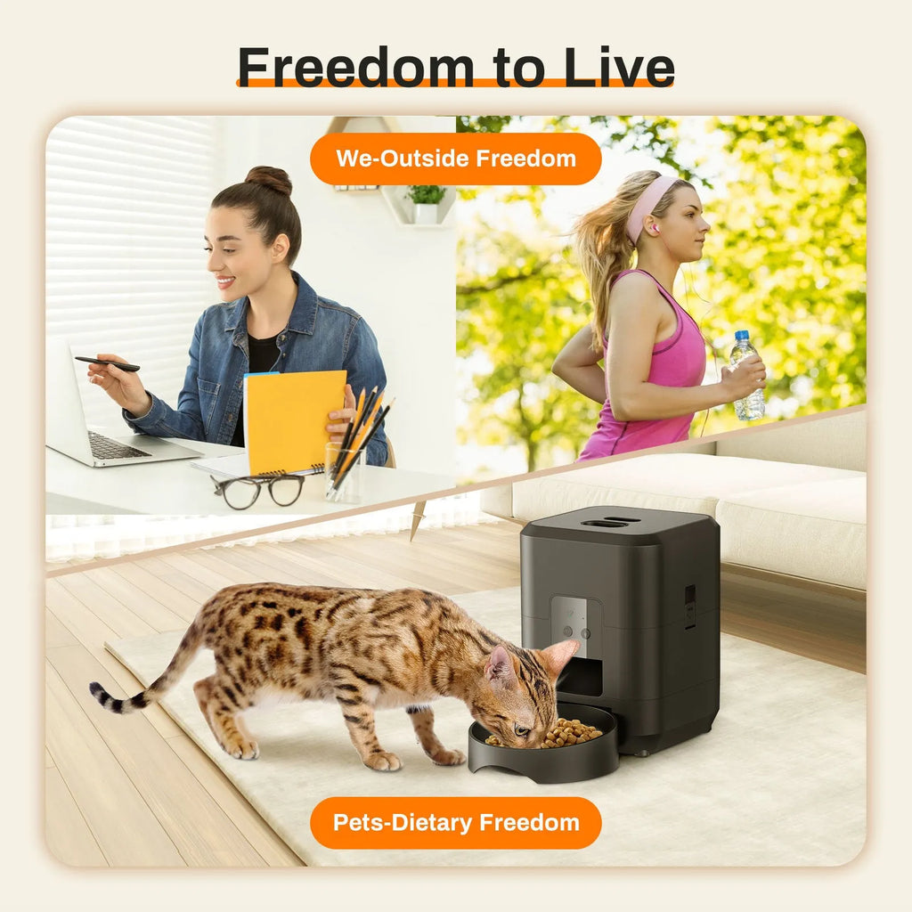 White automatic cat feeder with smartphone showing remote control interface and scheduled feeding times