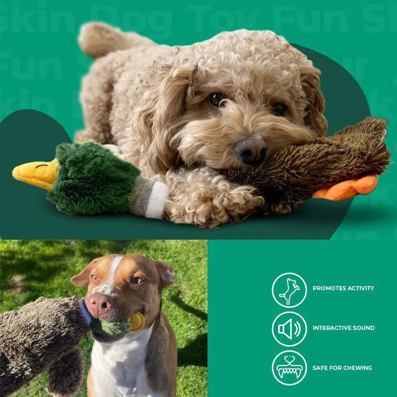 Green wild duck design stuffless plush dog toy with two squeakers.