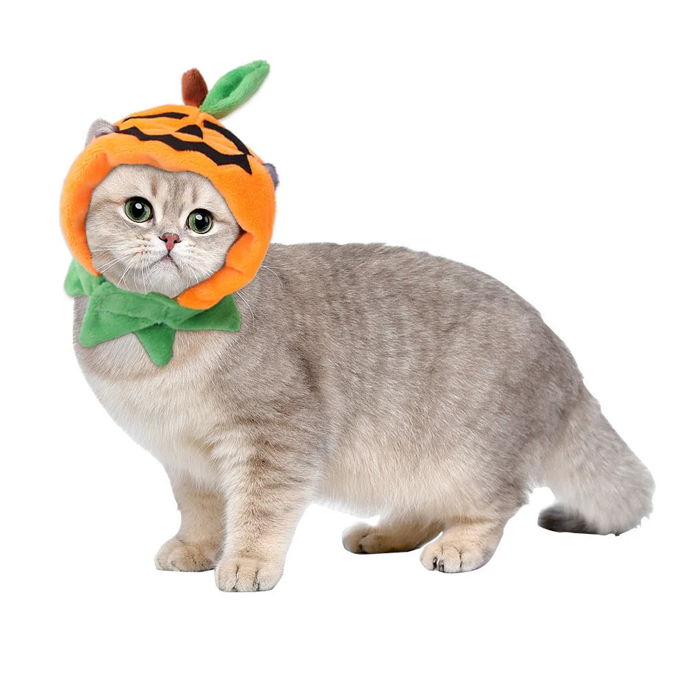 Orange pumpkin print reversible dog cloak Halloween costume with plush fabric