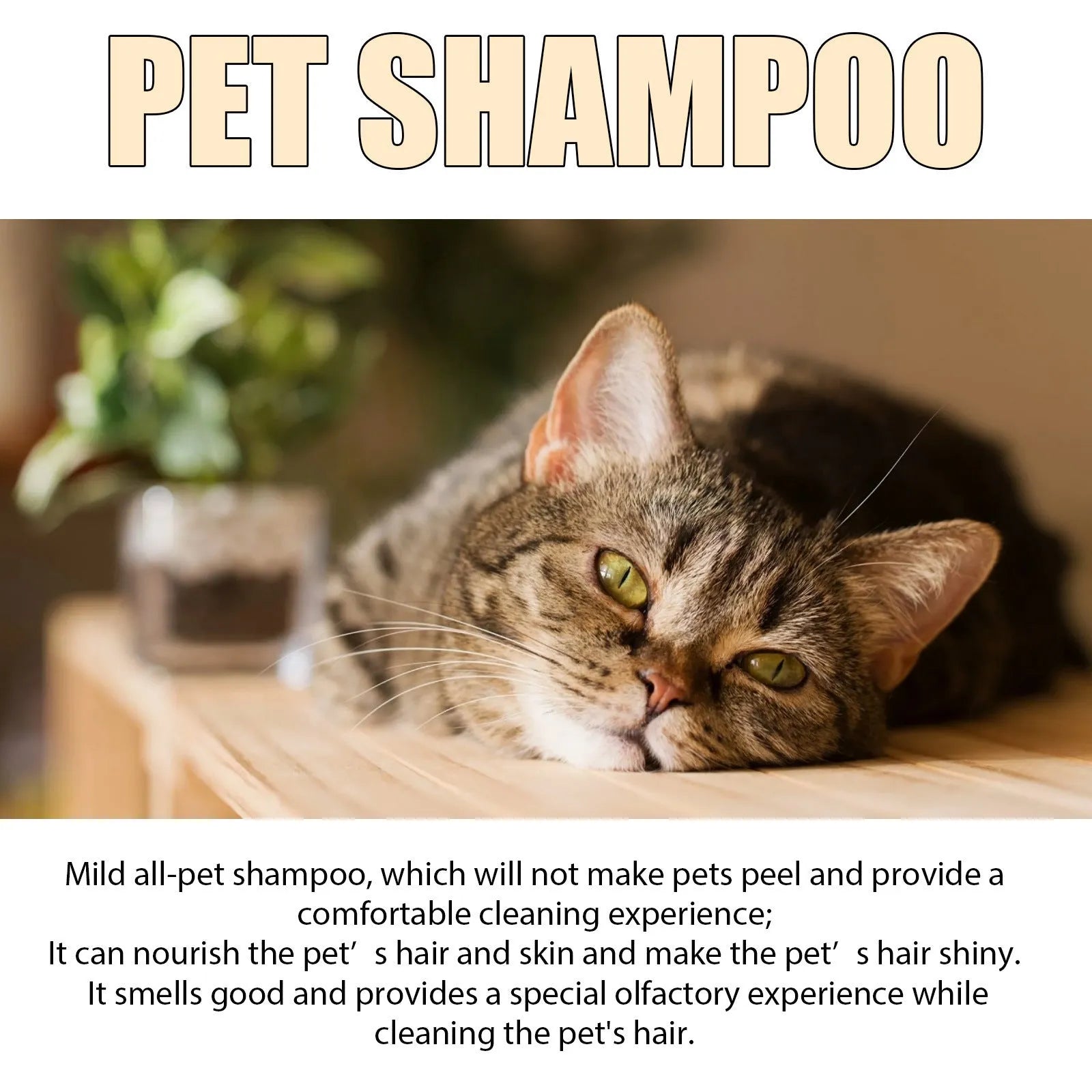 Bottle of dog shampoo for cleaning and softening fur while reducing tangles