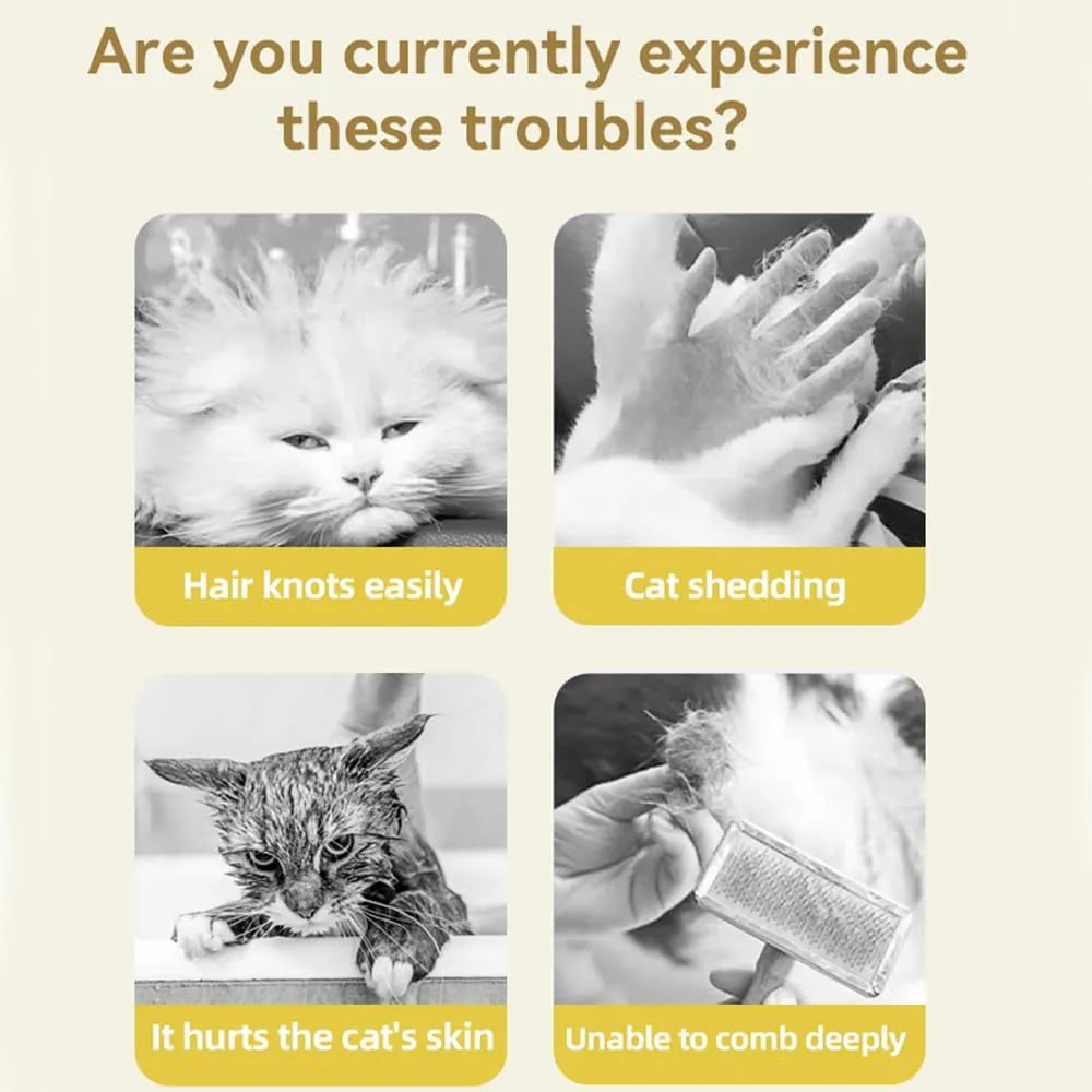 Green rechargeable cat steam brush with silicone bristles for pet grooming