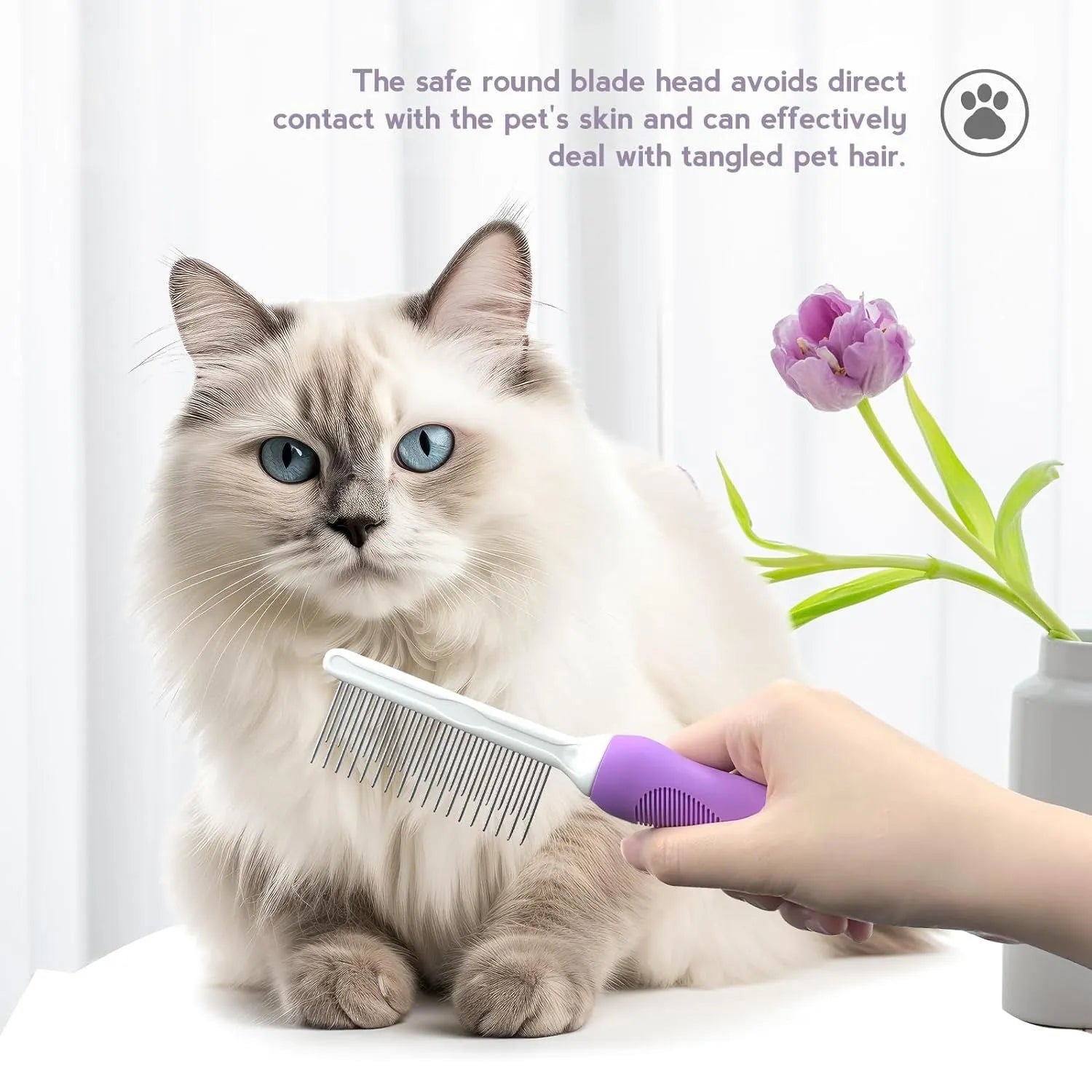 Purple pet detangling comb with stainless steel teeth for dogs and cats on white background