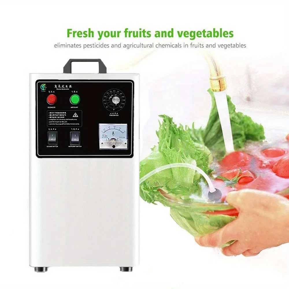 Stainless steel and white ozone generator for food and water treatment, 20g/h output.