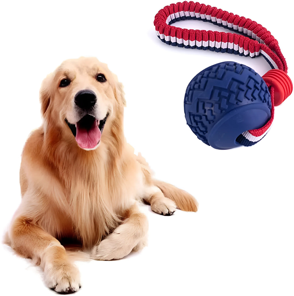 Blue and red natural rubber dog ball with attached rope toy for medium and small breeds.