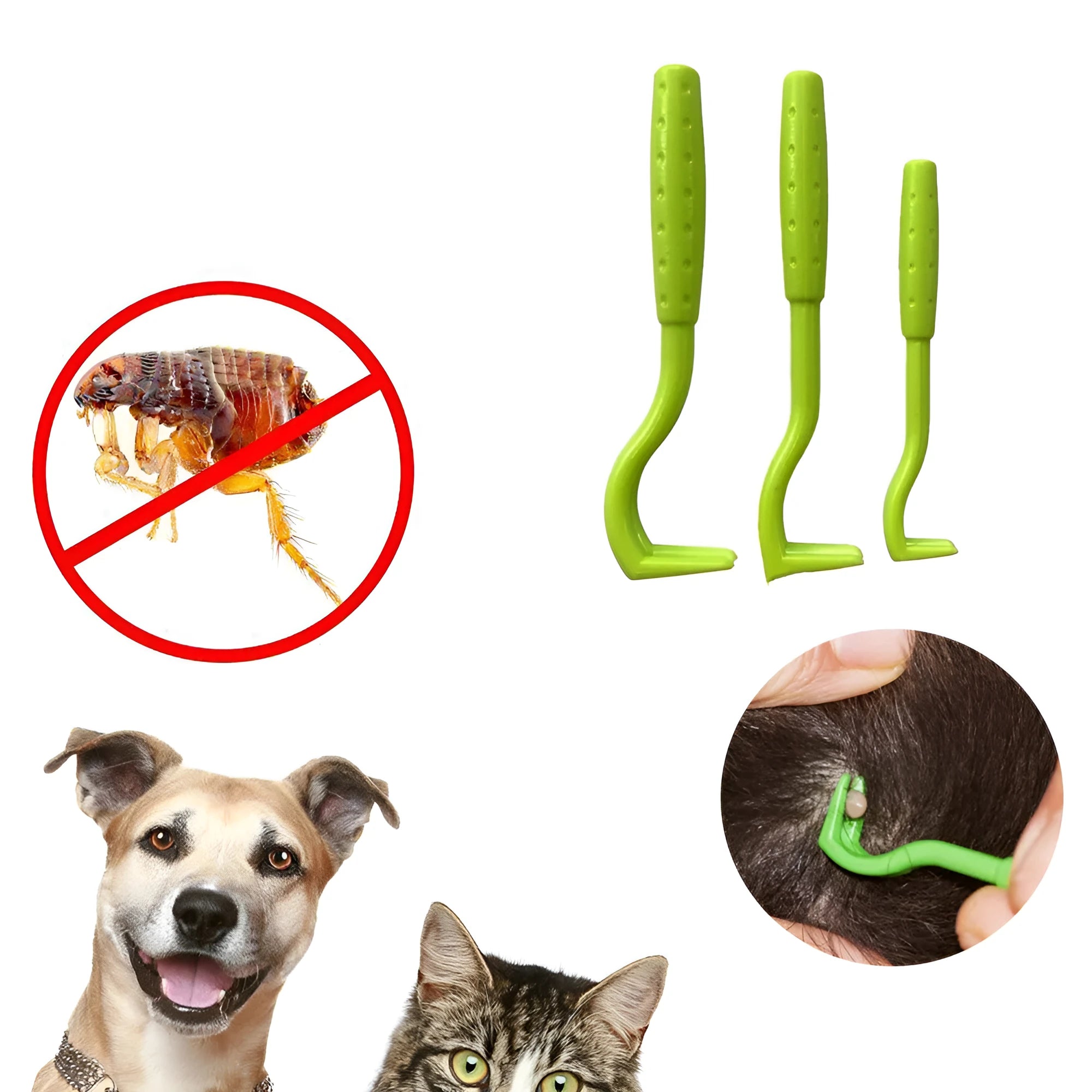 Set of three blue or green plastic tick removal hook tools for pets on a white background.