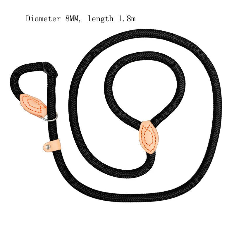 Blast race training 4-in-1 dog leash and automatically tightening collar set in multiple colour options